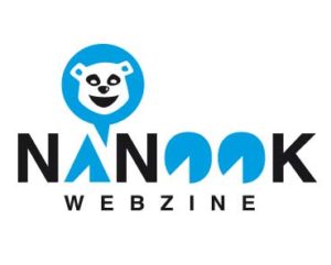 nanook-webzine-logo-identite-visuelle-graphique-charte-graphiste-bretagne-1